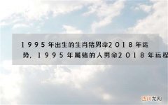 1995年出生的生肖猪男命2018年运势,1995年属猪的人男命2018年运程