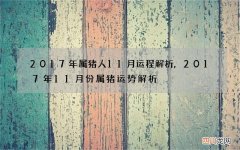 2017年属猪人11月运程解析,2017年11月份属猪运势解析
