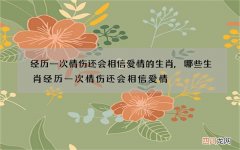 经历一次情伤还会相信爱情的生肖,哪些生肖经历一次情伤还会相信爱情