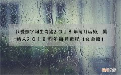 我爱测字网生肖猪2018年每月运势,属猪人2018狗年每月运程【女命篇】