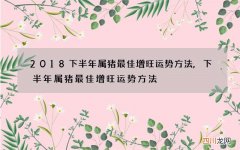 2018下半年属猪最佳增旺运势方法,下半年属猪最佳增旺运势方法
