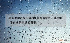 能够很快适应环境的生肖都有哪些,哪些生肖能够很快适应环境