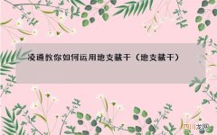 地支藏干 凌通教你如何运用地支藏干