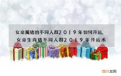 女命属猪的不同人群2019年如何开运,女命生肖猪不同人群2019年开运术