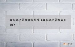 麻雀李小男怎么死的 麻雀李小男胃被掏照片