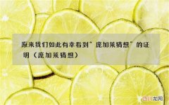 庞加莱猜想 原来我们如此有幸看到“庞加莱猜想”的证明