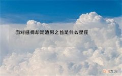 面对感情却是渣男之首是什么星座