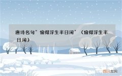 偷得浮生半日闲 唐诗名句“偷得浮生半日闲”