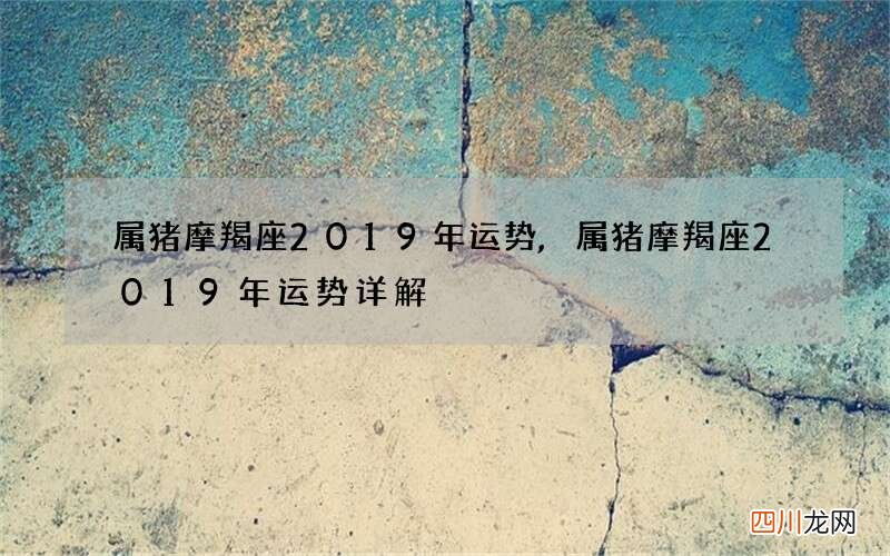 属猪摩羯座2019年运势,属猪摩羯座2019年运势详解