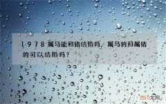 1978属马能和猪结婚吗，属马的和属猪的可以结婚吗？