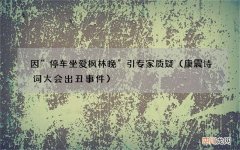 康震诗词大会出丑事件 因“停车坐爱枫林晚”引专家质疑