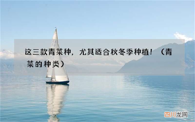 青菜的种类 这三款青菜种，尤其适合秋冬季种植！