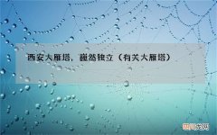 有关大雁塔 西安大雁塔，巍然独立