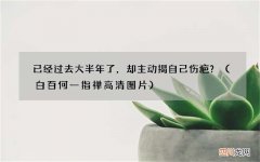 白百何一指禅高清图片 已经过去大半年了，却主动揭自己伤疤？