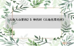 云南名贵药材 云南大山里的25神药材