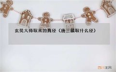 唐三藏取什么经 玄奘大师取来的真经