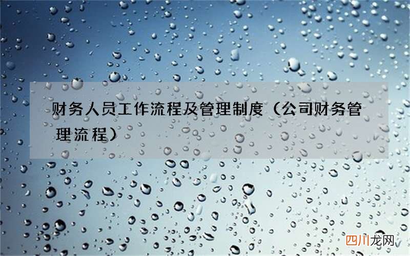 公司财务管理流程 财务人员工作流程及管理制度