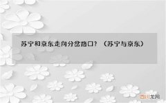 苏宁与京东 苏宁和京东走向分岔路口？