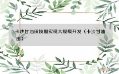 卡沙甘油田 卡沙甘油田按期实现大规模开发