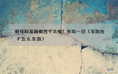 发面包子怎么发面 酵母粉发面做包子太慢？教你一招