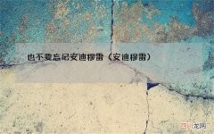 安迪穆雷 也不要忘记安迪穆雷