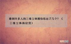 三维立体画欣赏 难倒许多人的三维立体图你看出了几个？