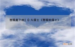 曹操的谋士 曹操麾下的10大谋士