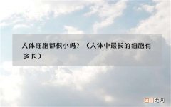 人体中最长的细胞有多长 人体细胞都很小吗？