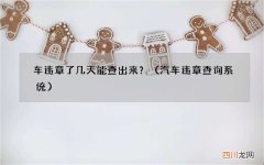 汽车违章查询系统 车违章了几天能查出来？