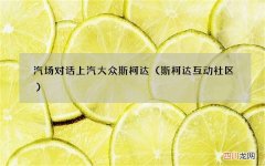 斯柯达互动社区 汽场对话上汽大众斯柯达