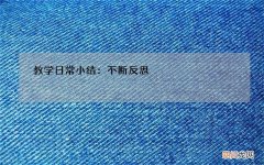 教学小结 教学日常小结：不断反思，持续精进