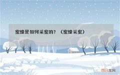 蜜蜂采蜜 蜜蜂是如何采蜜的？