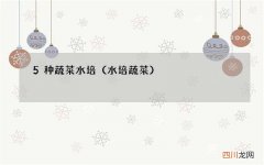 水培蔬菜 5种蔬菜水培