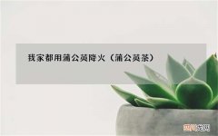 蒲公英茶 我家都用蒲公英降火
