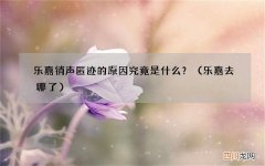 乐嘉去哪了 乐嘉销声匿迹的原因究竟是什么？
