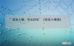 导龙入海汤 “导龙入海，引火归元”