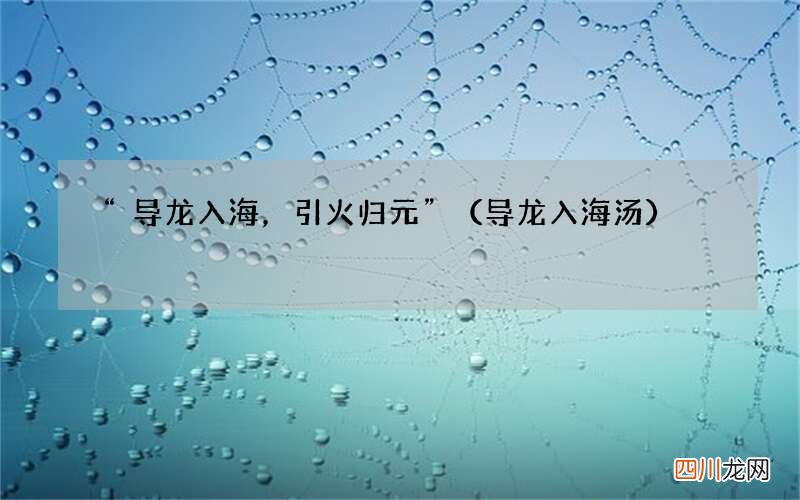 导龙入海汤 “导龙入海，引火归元”