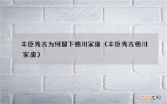 丰臣秀吉德川家康 丰臣秀吉为何留下德川家康