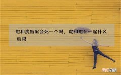 蛇和虎婚配会死一个吗，虎和蛇在一起什么后果