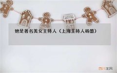上海主持人杨蕾 她是著名美女主持人