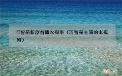 河智苑主演的电视剧 河智苑新剧首播收视率