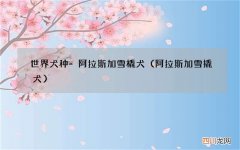 阿拉斯加雪撬犬 世界犬种-阿拉斯加雪橇犬