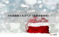 杨幂郭襄剧照 当年的杨幂太有灵气了