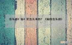 猫的音乐剧 音乐剧《猫》是怎么来的？