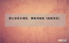 嫁接茶花 想让茶花长得壮，那就用嫁接