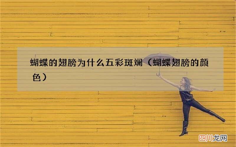 蝴蝶翅膀的颜色 蝴蝶的翅膀为什么五彩斑斓