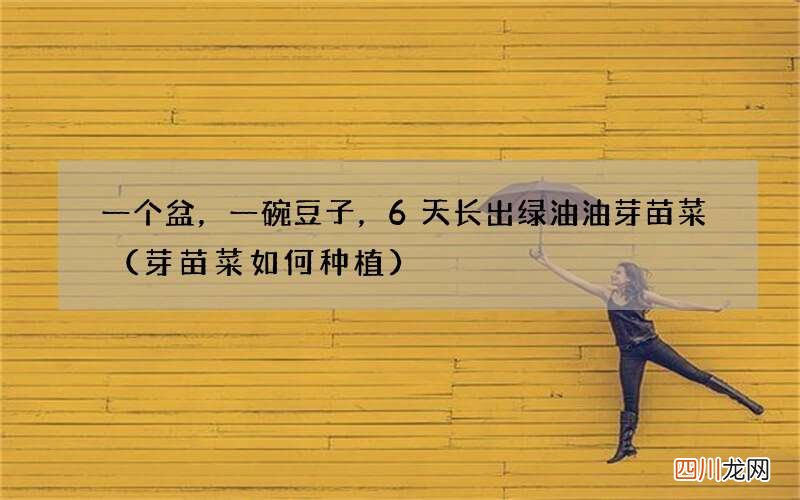 芽苗菜如何种植 一个盆，一碗豆子，6天长出绿油油芽苗菜