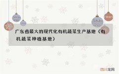 有机蔬菜种植基地 广东省最大的现代化有机蔬菜生产基地