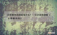 太极拳内功 太极拳内功到底练什么？一位学者的剖析