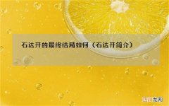 石达开简介 石达开的最终结局如何